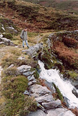 y nico am wildbach